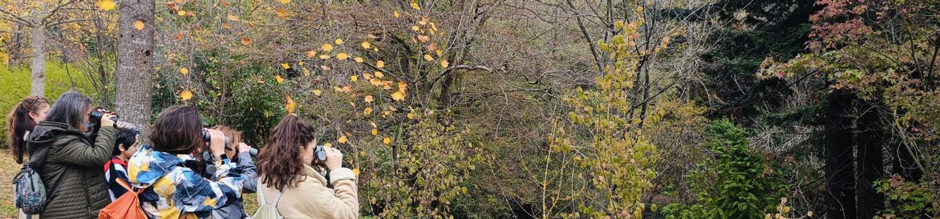 Doğayla Buluş, Geleceğe İmzanı At: ÇEKÜL Bilgi Ağacı Eğitmeni Ol!