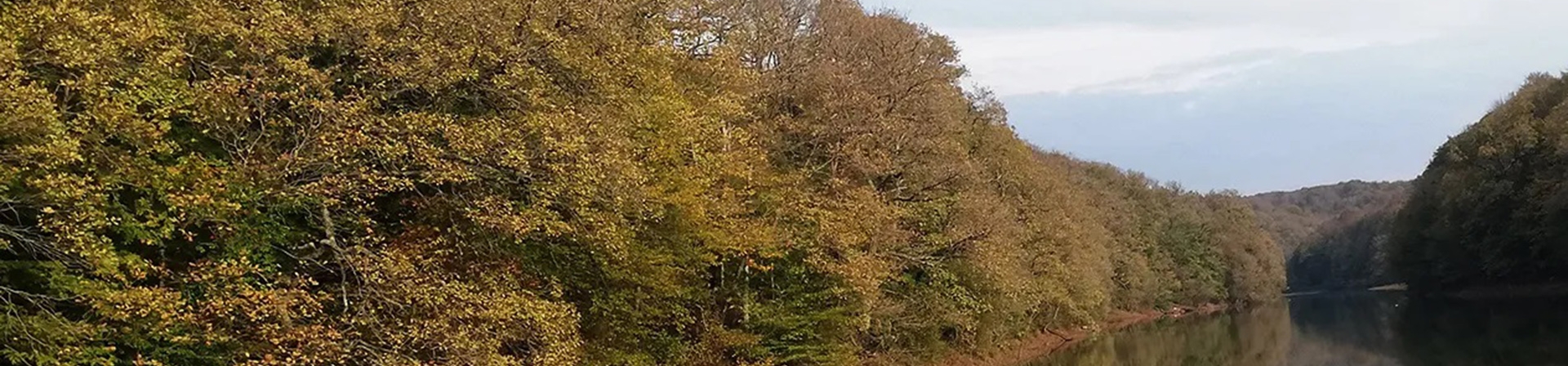 Belgrad Ormanı Statüsünün Değişimi ve Kamuoyu Bilgilendirmesi