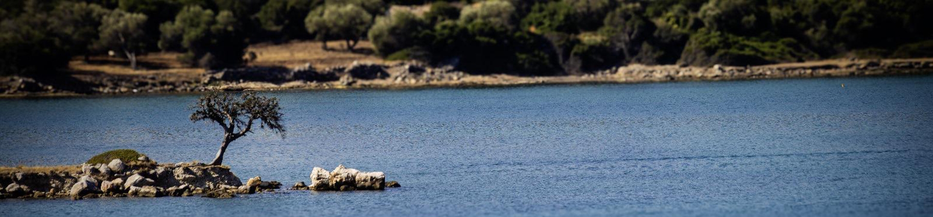 Barış Konor’un "Tek ve Hür" Adlı Kişisel Fotoğraf Sergisi, ÇEKÜL Vakfı 7 Ağaç Ormanları Programına Destek Oluyor
