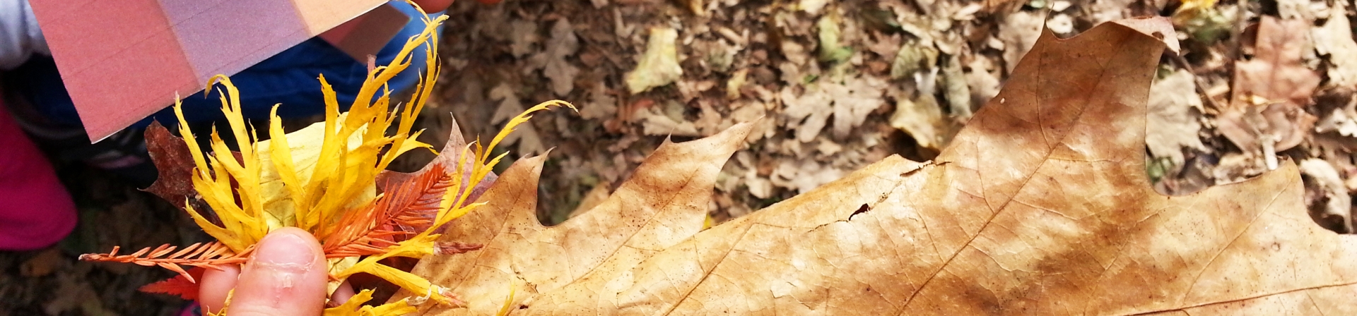 Doğal Miras Eğitimleri