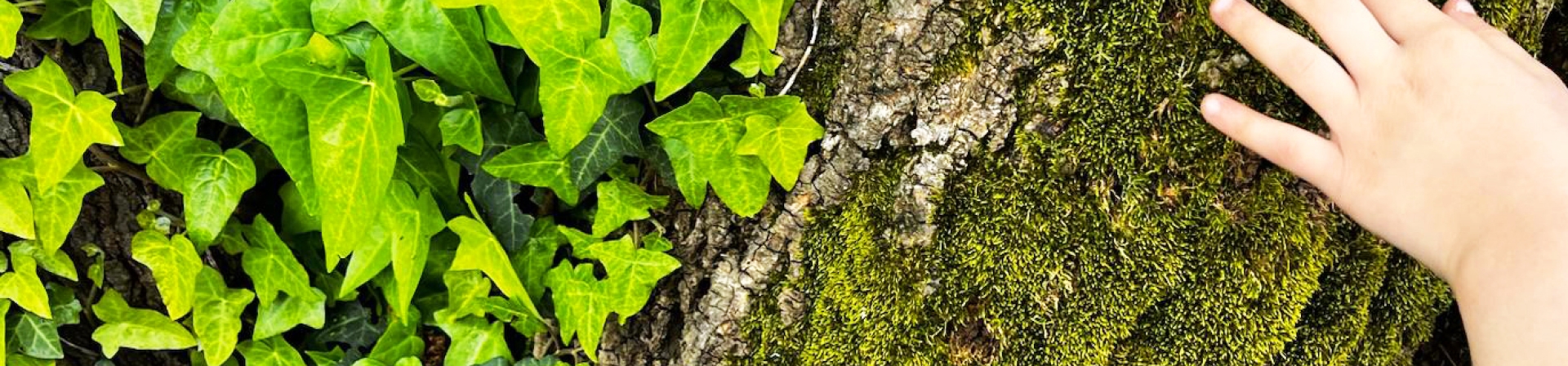 Doğadan Öğreniyorum