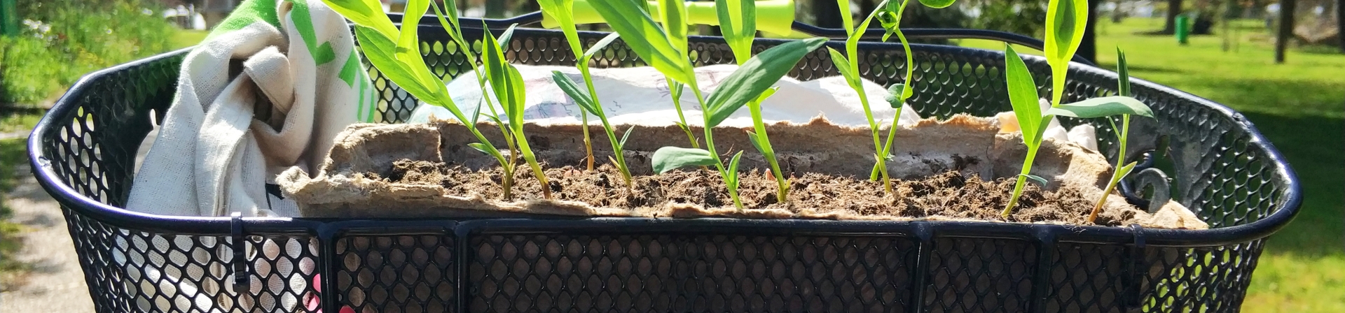 İnsan doğayla uyumlu olabilir mi?