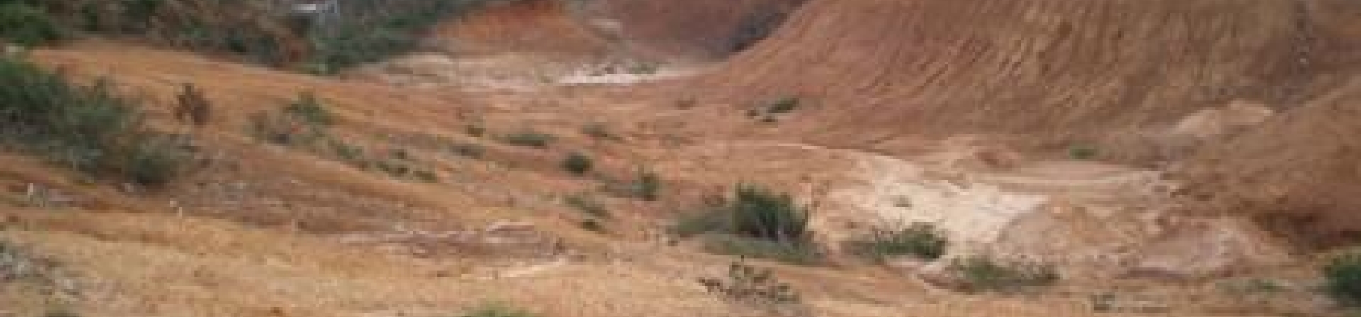 İstanbul - Şile / Avcıkoru - 1993