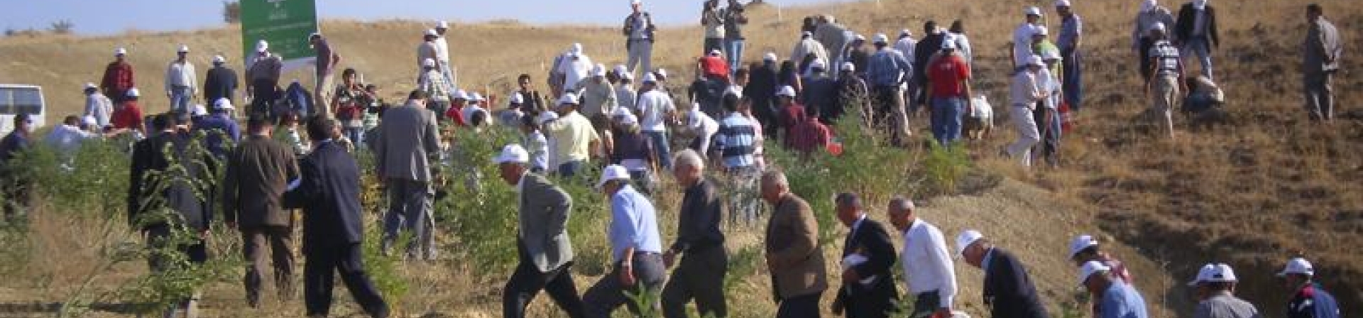 Sivas / Divriği - 2005