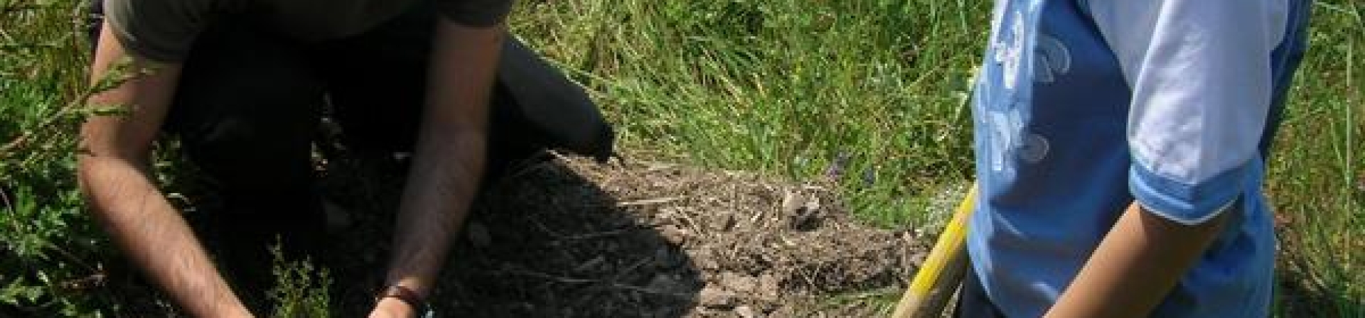 Kocaeli / Körfez - 2006