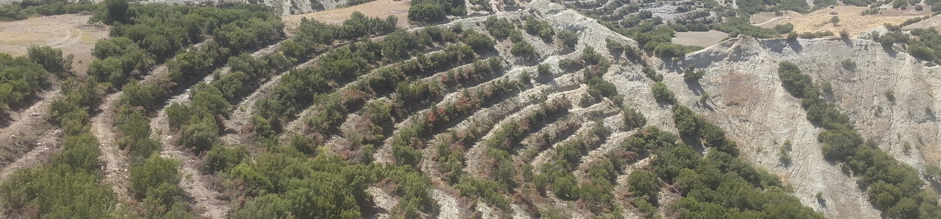 Manisa / Selendi - 2016