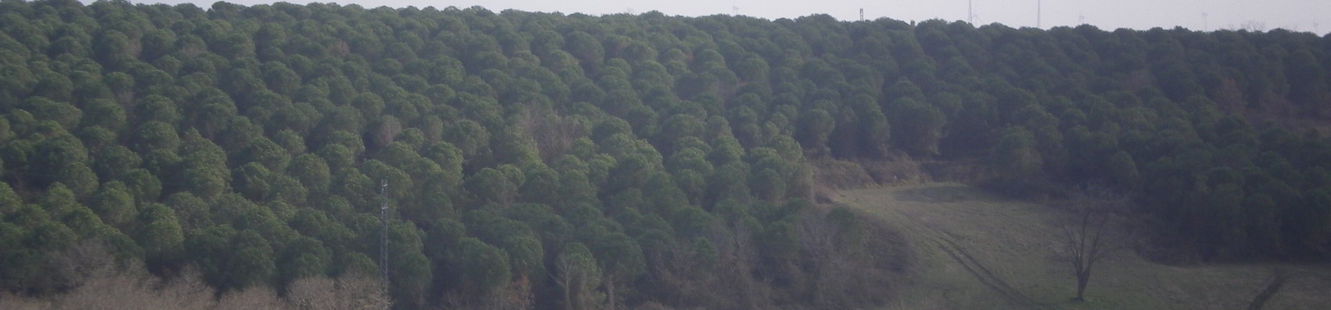 İstanbul / Çatalca - 1997