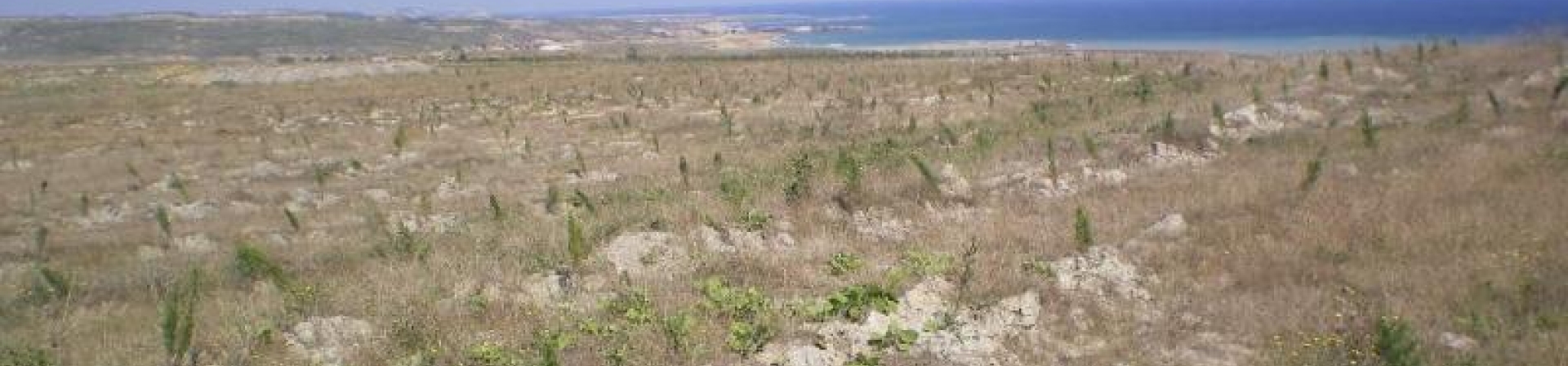 İstanbul / Kemerburgaz, Akpınar - 2011