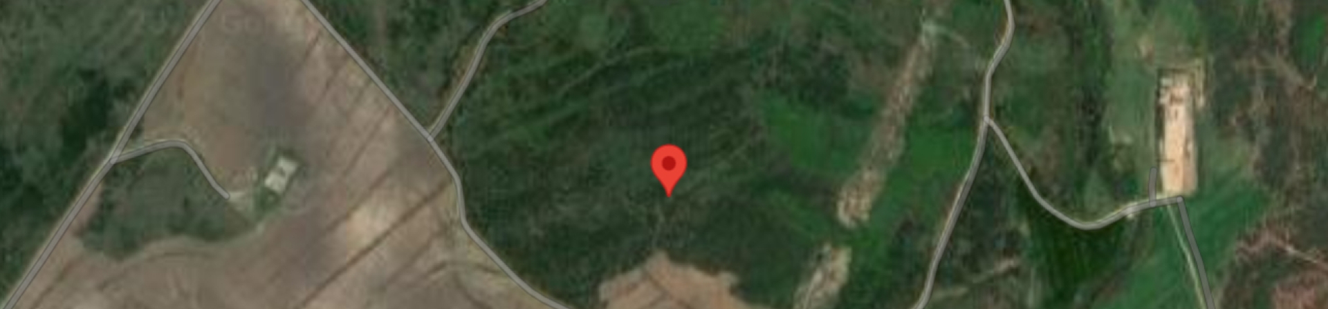 Silivri / Çanta - 2021