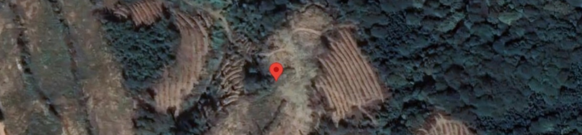 Balıkesir / Bandırma / Sahil Yenice Köyü - 2022/2023