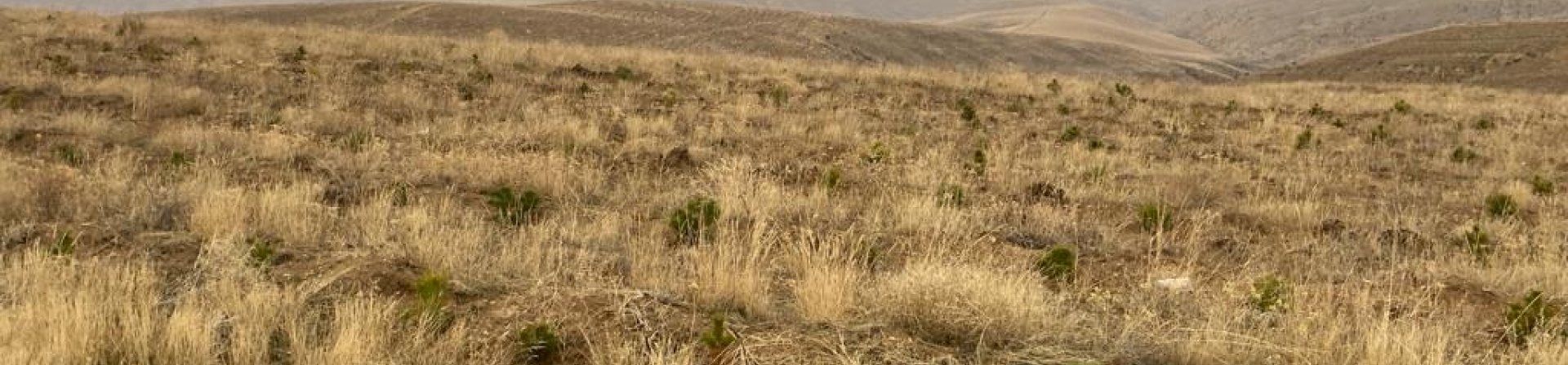 Sivas / Divriği / Ağılcık - İkizbaşak – 2020/2021/2022