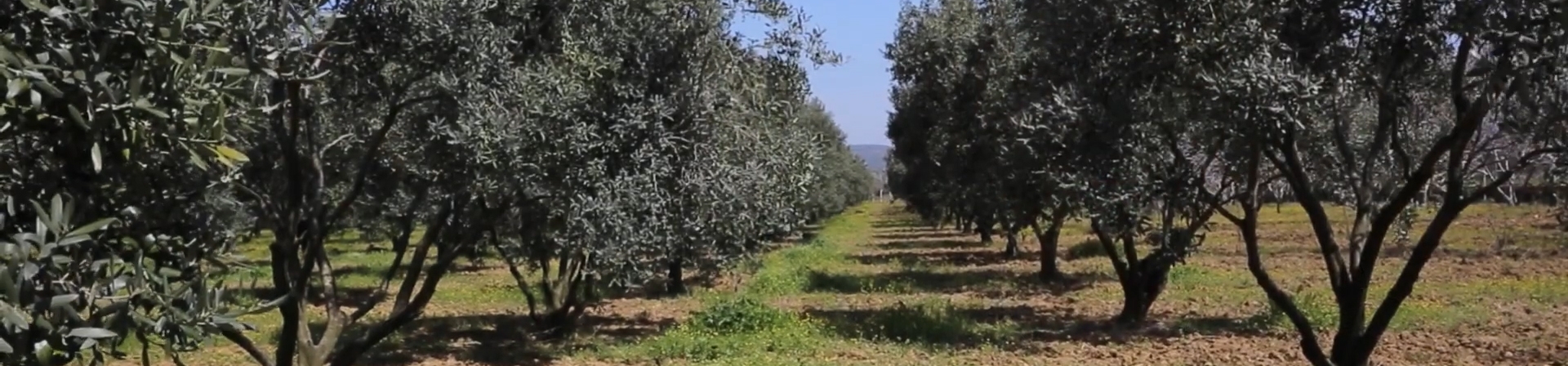 11 Girişimci Kadın, Tarımda Kadın Kooperatifini Kurdu