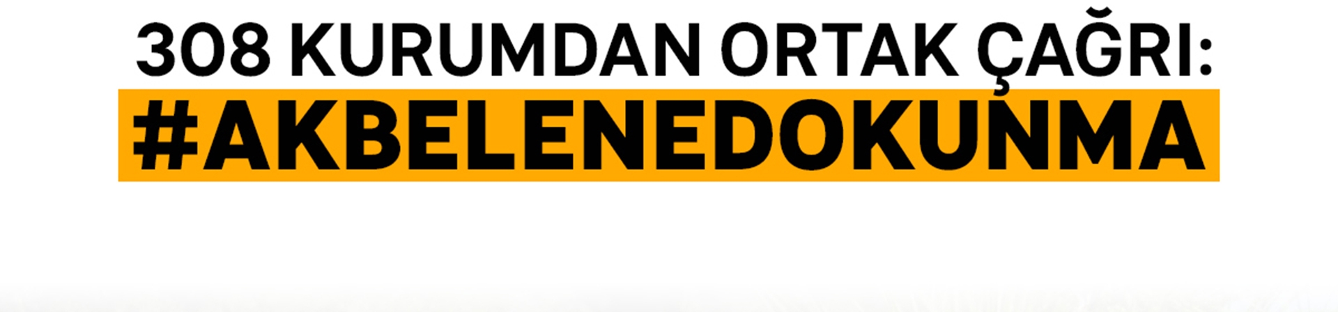 308 Kurumdan Ortak Açıklama: Akbelen Ormanındaki Abluka Kaldırılsın, Kesim Kararı Durdurulsun!
