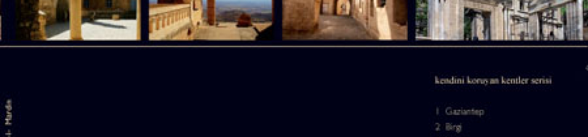 Kendini Koruyan Kentler Dizisi: Mardin kitabı yayımlandı