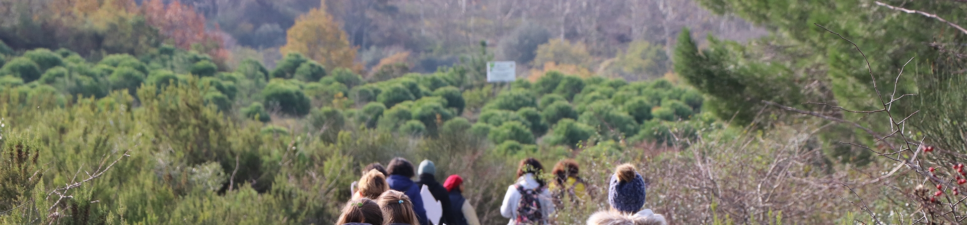 92 Ormanı 30 yaşında!