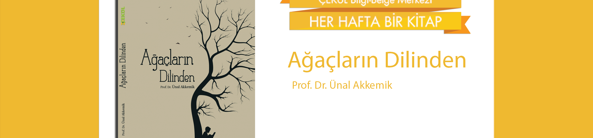 Ağaçların Dilinden