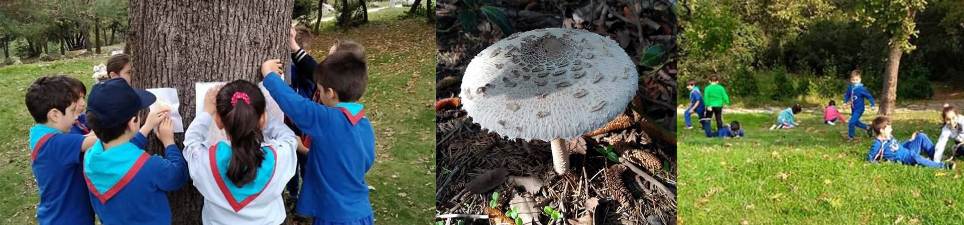 “Ağaçların Diliyle Kentim” Anadolu’yla Buluştu!