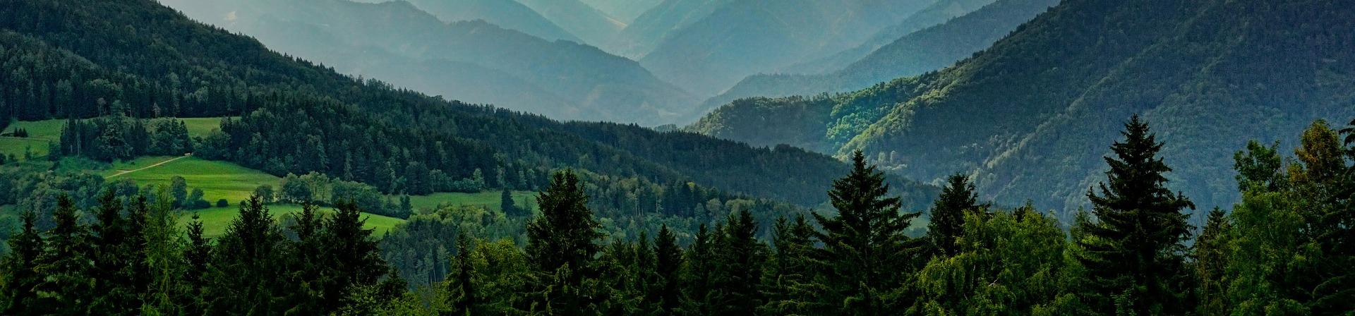 Aktif Yurttaşlık ve Dünyadaşlık Günümüz Kutlu Olsun!