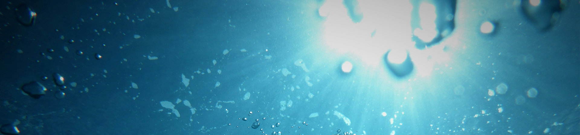 Barış İçinde Beraberce Var Olabilmenin Hikâyesi