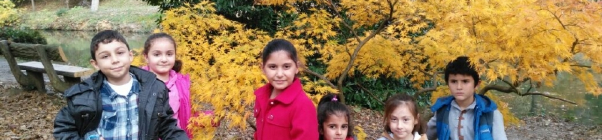 Çocuklar Atatürk Arboretum'da doğayla buluştular