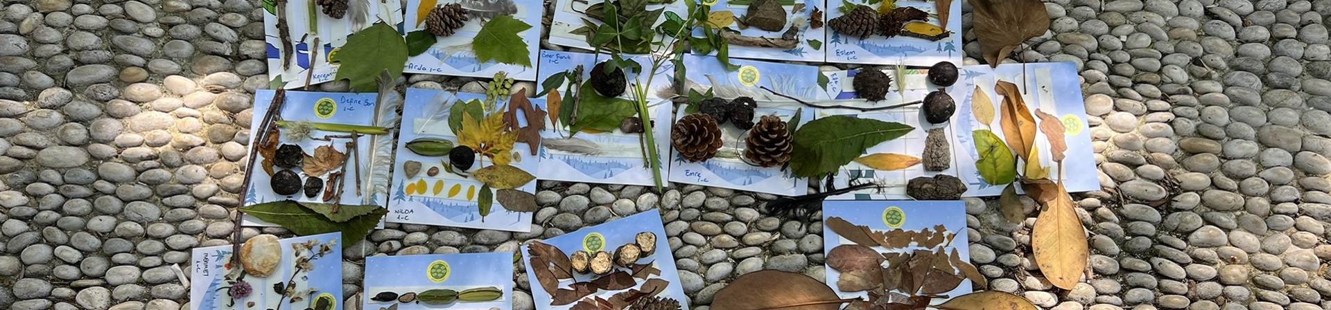 Birlikteyiz, Doğadan Öğrenmeye Devam Ediyoruz!