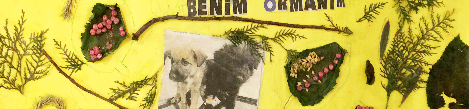 Doğadan öğrenen çocuklardan sergi