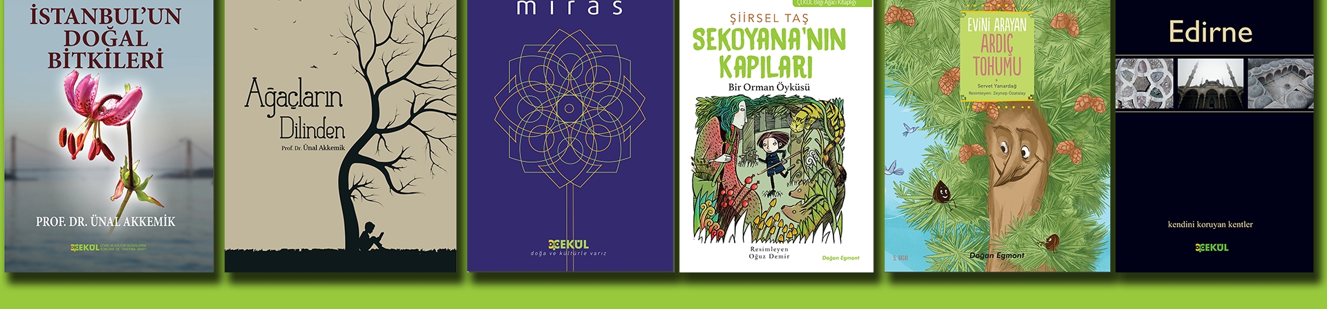 Doğaya, Kültüre ve Derin Düşünmelere Rehberlik Etsin Diye