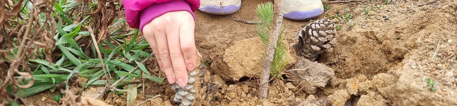 Fidanlar Toprakla Buluşuyor