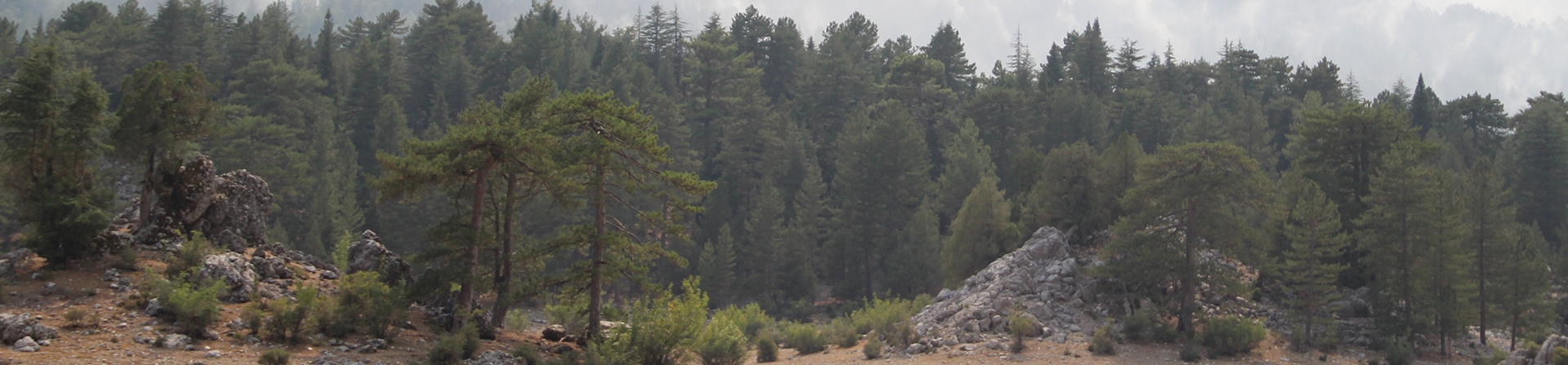 İklim Krizinin Ağır Sonucu: Seller