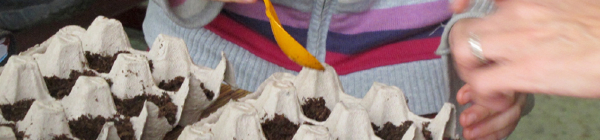 Tohumlar toprakla buluşturuldu