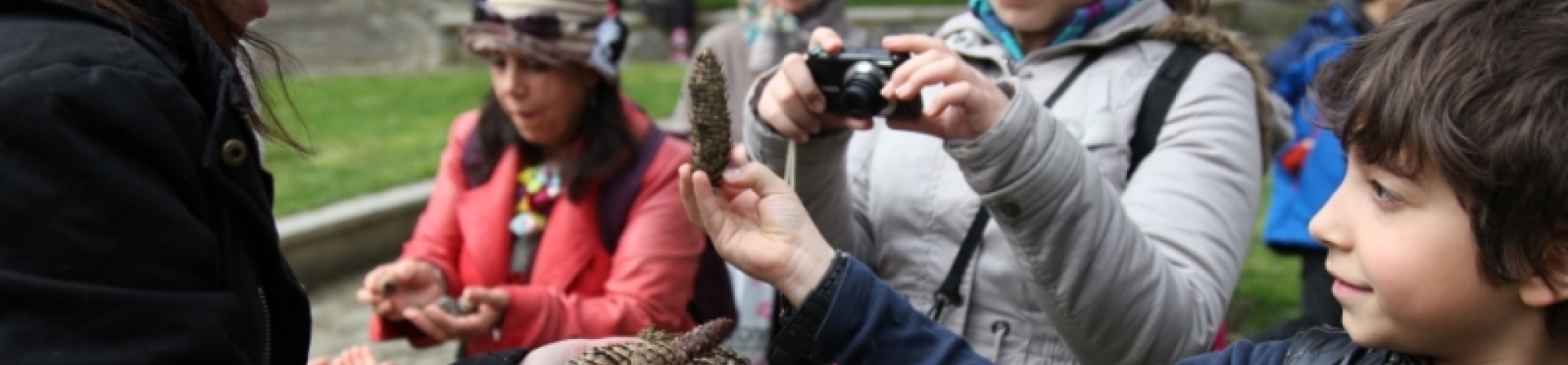 Çocuklar ağaçların dilinden konuştu