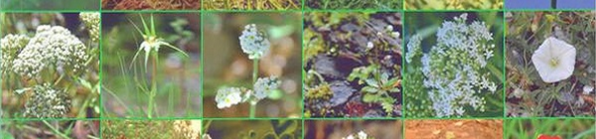 ÇEKÜL Bilgi Belge Merkezi zenginleşiyor