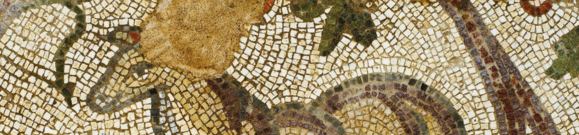 Kavramlar, Uygulama Örnekleriyle Buluşuyor