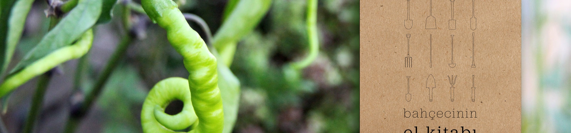 Kenti Bahçeleştirmek İçin: Kent Bahçesi Kılavuzu