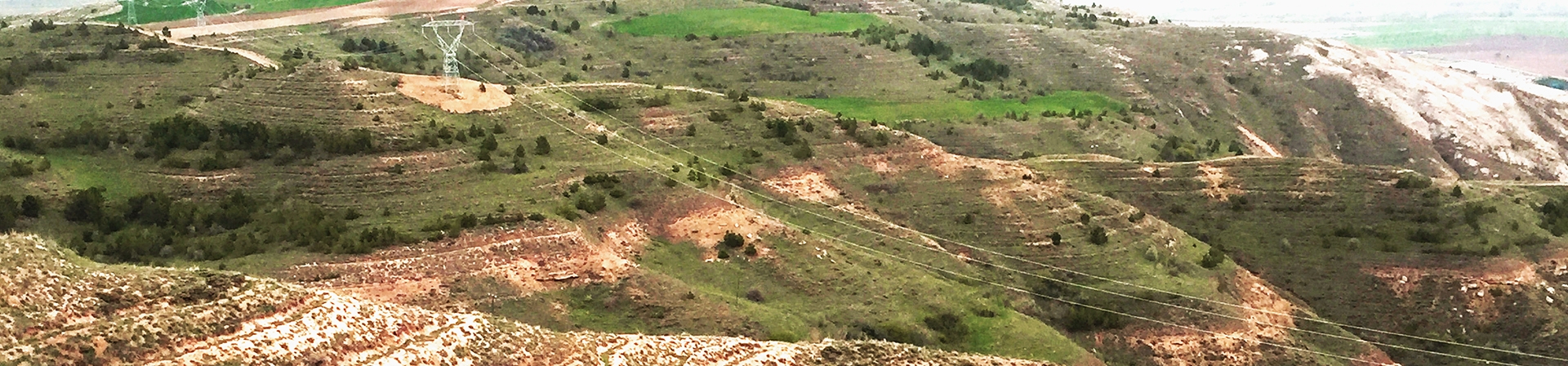 Marshall’dan Boya Ustalarına Hatıra Ormanı