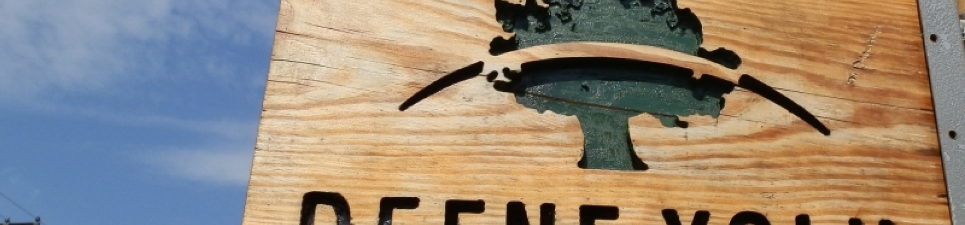 Defne ağaçlarının arasında yürümek