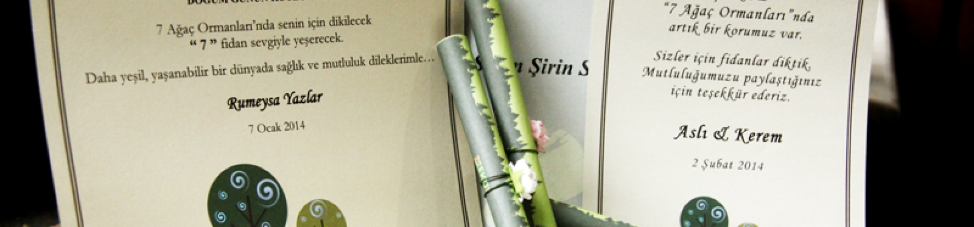 7 Ağaç için yeni sertifikalar