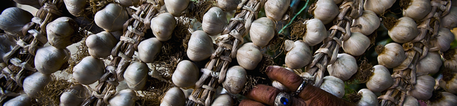 Bir kent müzesi daha…