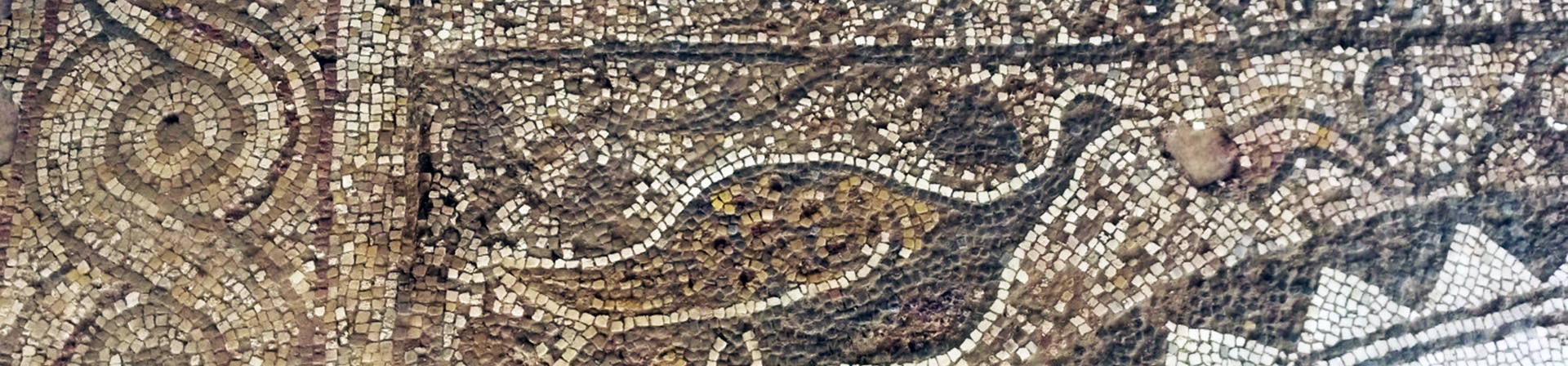 Simav’ın Tarihi Birikimi Gün Yüzüne Çıkıyor