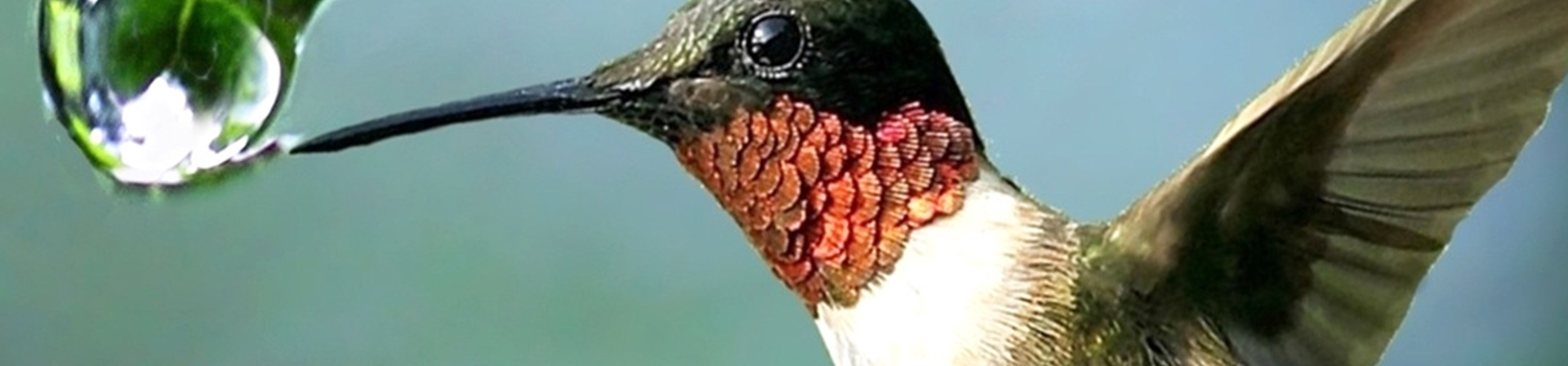 Su Mirasımız İçin Değişim “Sen” Ol