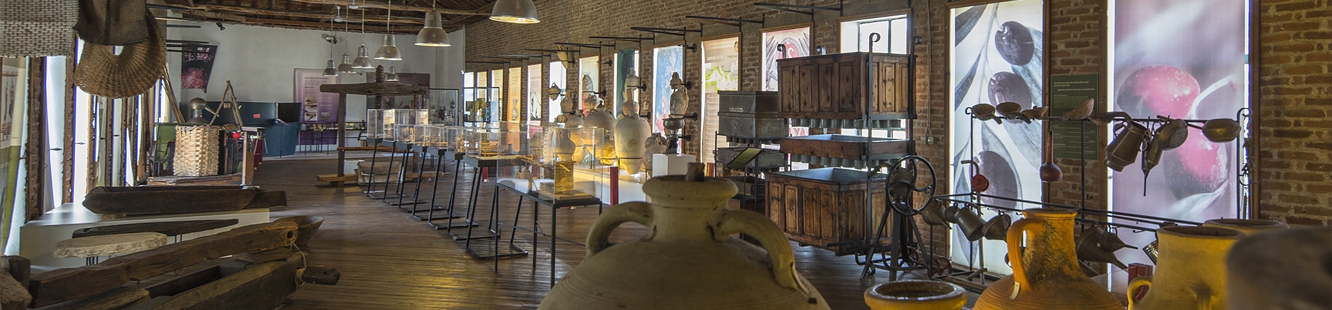 Zeytin Müzeleri Arasında Bir Gezinti