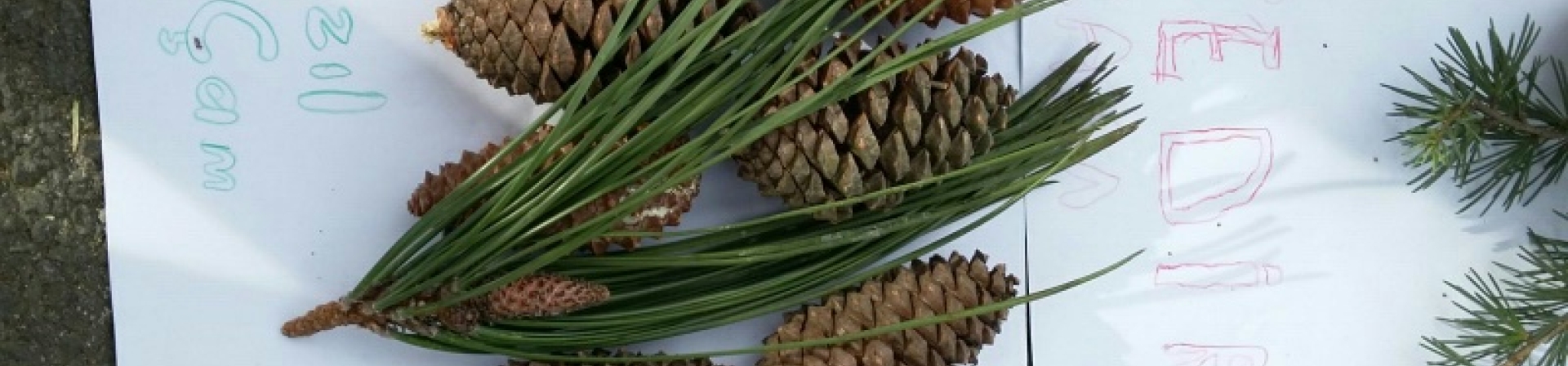 Doğal Miras Eğitimleri