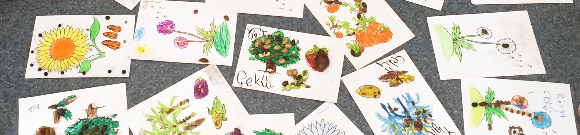 Eğitimde Sivil Toplum Örgütlerinin Rolü