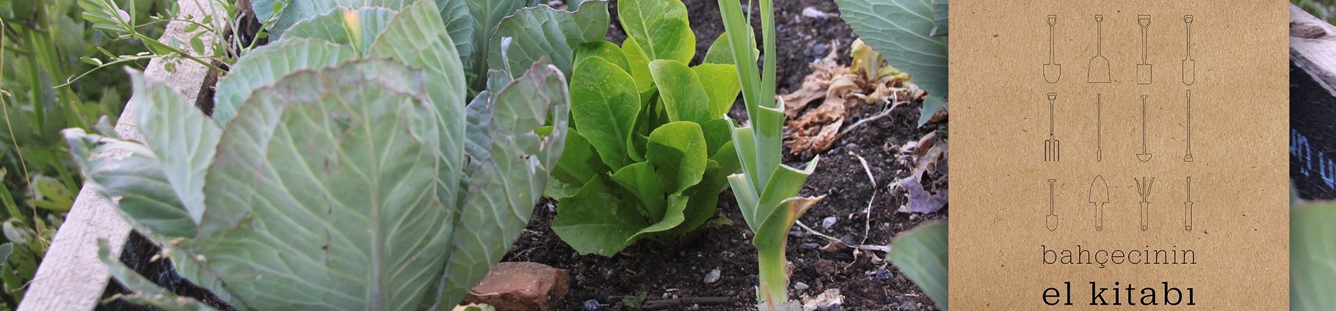 Kent Bahçeleri Çoğalsın Diye: Bahçecinin El Kitabı