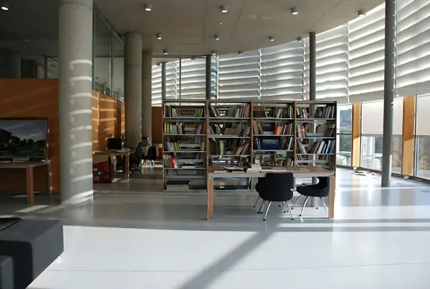 Aralık 2024 Bülten