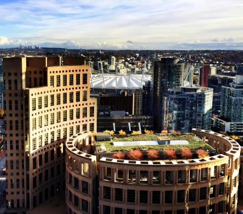 Aralık 2024 Bülten