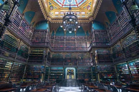 ÇEKÜL Bilgi Belge Merkezi Ağustos Bülteni