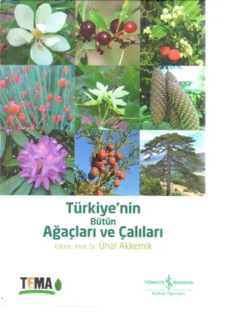 ÇEKÜL Bilgi Belge Merkezi - Haziran 2022 Bülteni