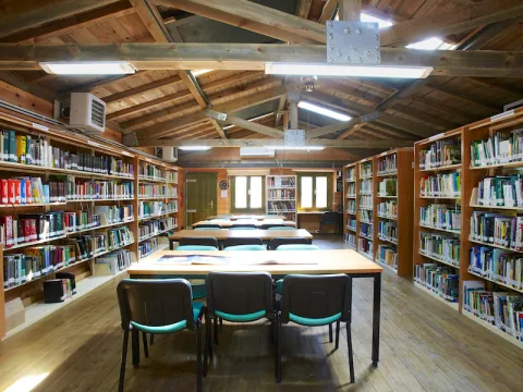 ÇEKÜL Bilgi Belge Merkezi Kasım Bülteni 