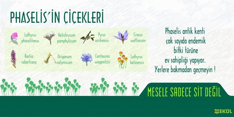 Banner Görseli